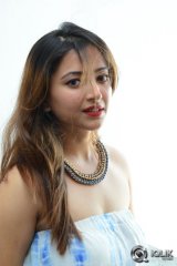 Shweta Basu Prasad at Intelligent Idiots Movie Press Meet